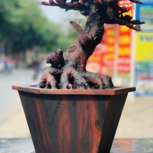 Bình hoa mai gỗ trắc. Bình hoa mai gỗ trắc.
