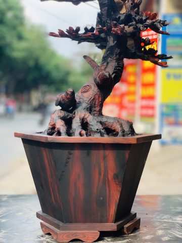 Bình hoa mai gỗ trắc. Bình hoa mai gỗ trắc.