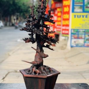 Bình hoa mai gỗ trắc. Bình hoa mai gỗ trắc.