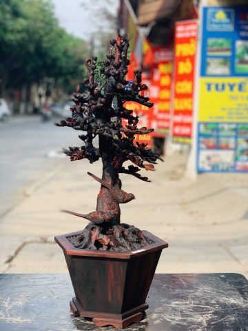 Bình hoa mai gỗ trắc. Bình hoa mai gỗ trắc.