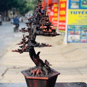 Bình hoa mai gỗ trắc. Bình hoa mai gỗ trắc.