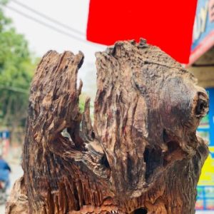 Đạt ma ngồi thiền tùng hương Đạt ma ngồi thiền tùng hương