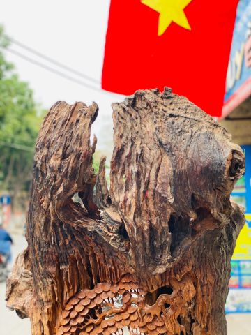 Đạt ma ngồi thiền tùng hương Đạt ma ngồi thiền tùng hương