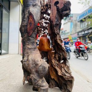 Đạt ma ngồi thiền tùng hương Đạt ma ngồi thiền tùng hương