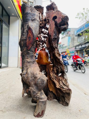 Đạt ma ngồi thiền tùng hương Đạt ma ngồi thiền tùng hương
