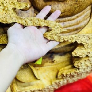Diện Phật tổ nu hương.