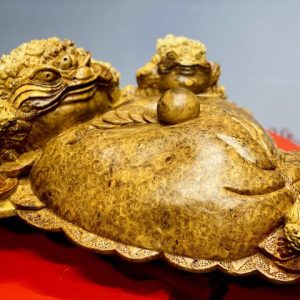 Tam cóc chấn bao tiền nu hương. Tam cóc chấn bao tiền nu hương.