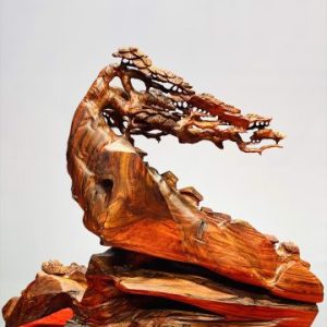 Tiểu cảnh gỗ sưa.
