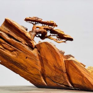 Tiểu cảnh gỗ sưa.