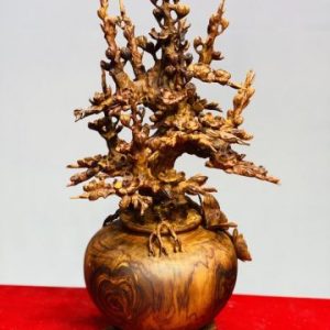 Bình mai phú quý gỗ sưa. Bình mai phú quý gỗ sưa.