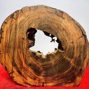 Diện Đạt Ma Gỗ Trắc