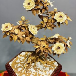 Bonsai Hoa Phù Dung Ngà Voi Gỗ Hoàng Đàn
