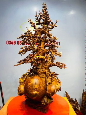 Bình Hoa Mai Gỗ Nu Hương