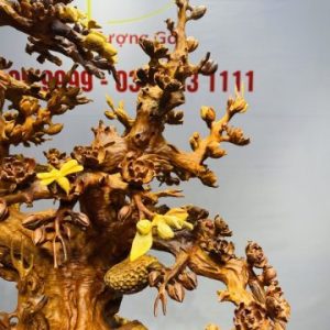 Bình Hoa Mai Gỗ Nu Hương