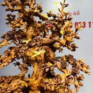 Bình Hoa Mai Gỗ Nu Hương