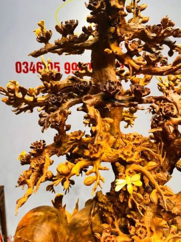 Bình Hoa Mai Gỗ Nu Hương