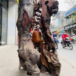 Đạt Ma Sư Tổ Ngồi Thiền Dưới Cây Tùng Gỗ Hương