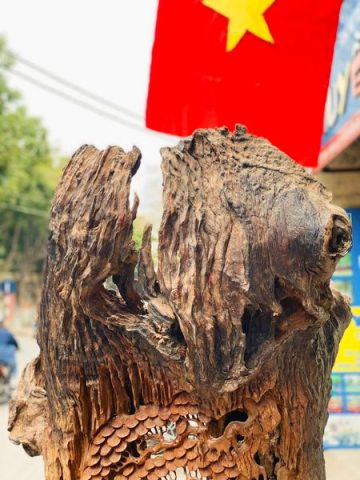 Đạt Ma Sư Tổ Ngồi Thiền Dưới Cây Tùng Gỗ Hương