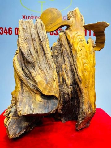 Tiểu Cảnh Gỗ Hương