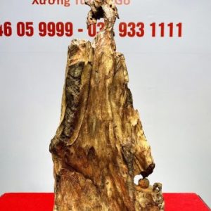 Đạt Ma Gỗ Trắc