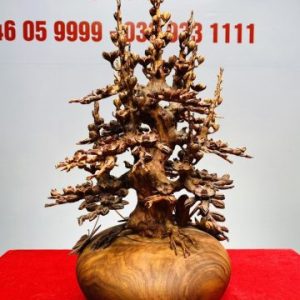 Bình Hoa Mai Gỗ Sưa