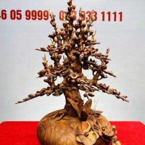 Bình Hoa Mai Gỗ Sưa