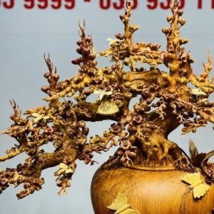 Bình Mai Gỗ Hương