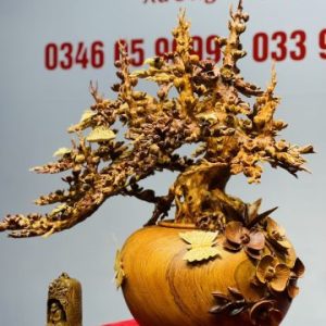 Bình Mai Gỗ Hương