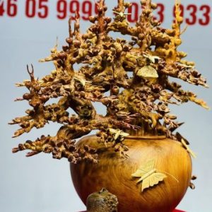 Bình Mai Gỗ Hương