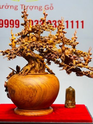 Bình Mai Gỗ Hương