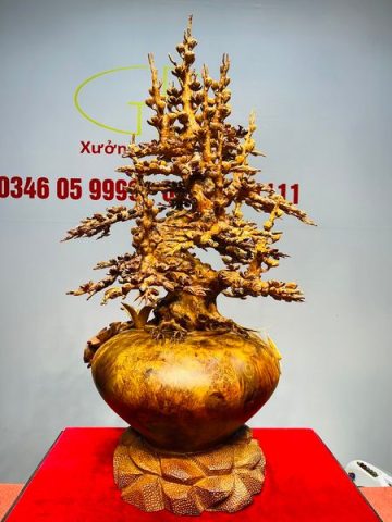 Bình Mai Gỗ Nu Hương