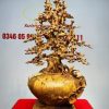 Bình Mai Gỗ Nu Hương