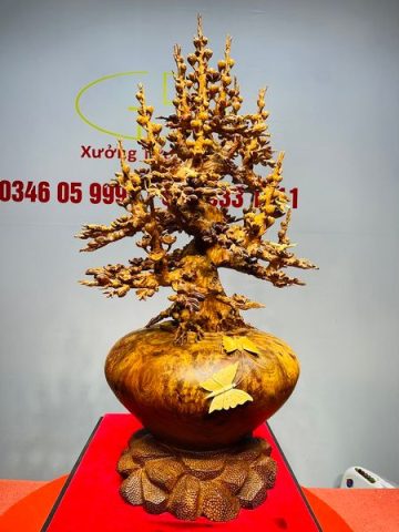 Bình Mai Gỗ Nu Hương