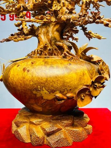 Bình Mai Gỗ Nu Hương