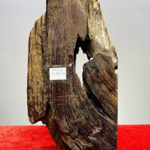 Đạt Ma Ngồi Thiền Gỗ Trắc
