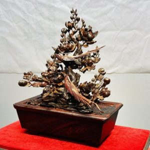 Chậu Hoa Phù Dung Chim Trĩ Gỗ Trắc