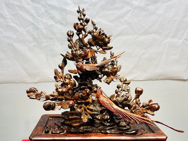 Chậu Hoa Phù Dung Chim Trĩ Gỗ Trắc