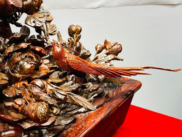 Chậu Hoa Phù Dung Chim Trĩ Gỗ Trắc