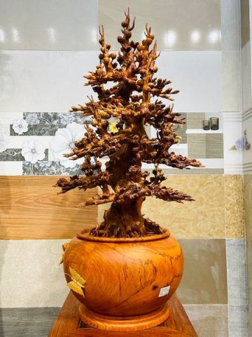Bình Mai Gỗ Hương