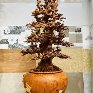 Bình Mai Gỗ Hương