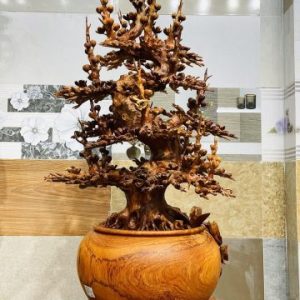 Bình Mai Gỗ Hương