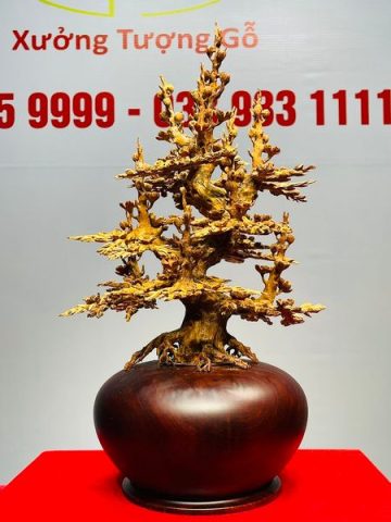 Bình Mai Hoàng Đàn Tuyết Lạng Sơn