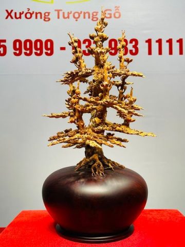 Bình Mai Hoàng Đàn Tuyết Lạng Sơn