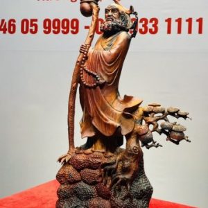 Đạt Ma Sư Tổ Cây Tùng