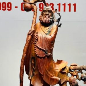 Đạt Ma Sư Tổ Cây Tùng