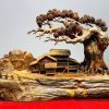 Tiểu Cảnh Làng Quê Gỗ Trắc