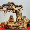 Đạt Ma Ngồi Thiền Dưới Cây Tùng Gỗ Trắc