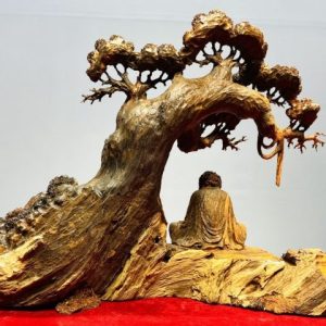Đạt Ma Ngồi Thiền Dưới Cây Tùng Gỗ Trắc