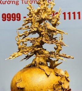 Bình Mai Gỗ Nu Ngọc Am