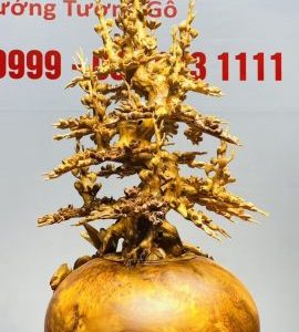 Bình Mai Gỗ Nu Ngọc Am